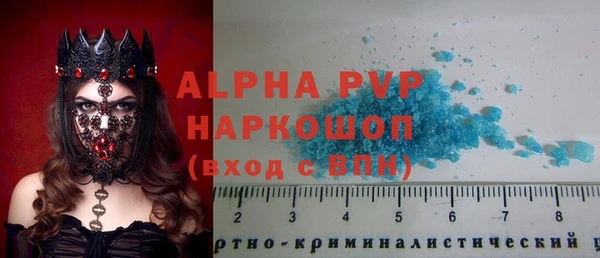ГАЛЛЮЦИНОГЕННЫЕ ГРИБЫ Волосово