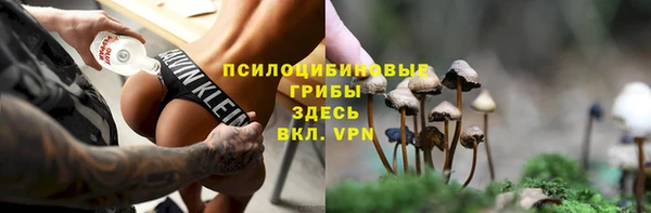 твердый Володарск