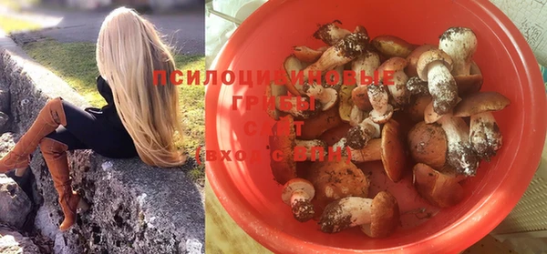 твердый Володарск