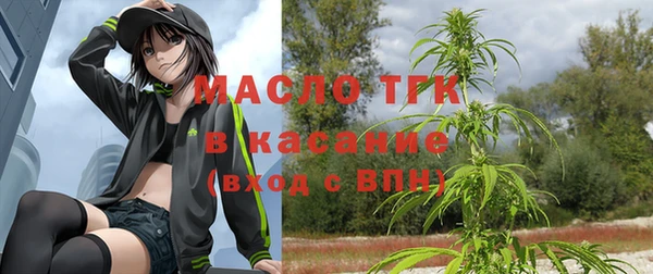 твердый Володарск