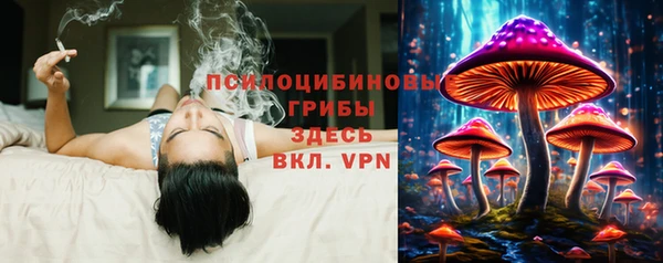 твердый Володарск