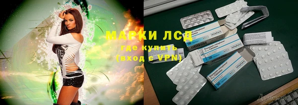 ГАЛЛЮЦИНОГЕННЫЕ ГРИБЫ Волосово