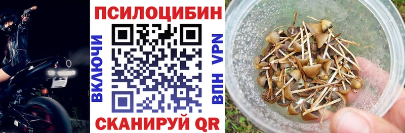 Купить закладки  Демидов  Псилоцибиновые грибы GOLDEN TEACHER 